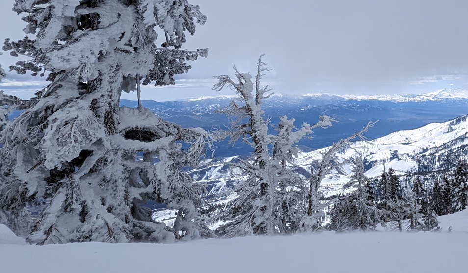 Tahoe Snow