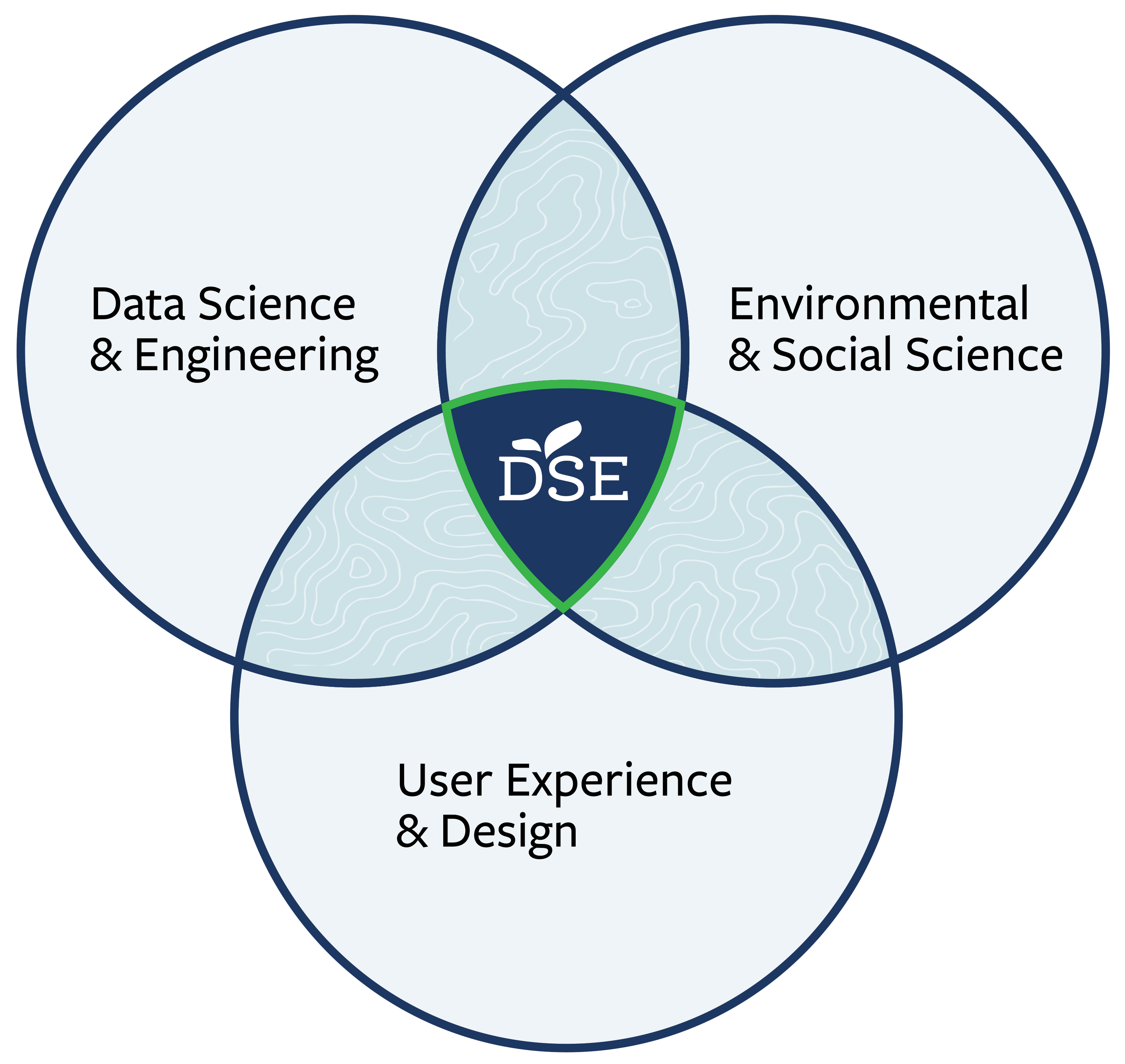 Venn diagram depicting DSE's overlapping roles in data science & engineering, environmental & social science, and user experience & design