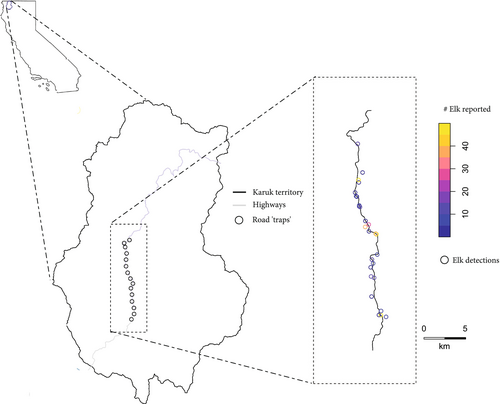Map of study system, with our road “trap” locations within Karuk Ancestral Territory inset on a map of California. The final panel depicts the elk sighting report locations, with the increasing numbers of elk reported in the sighting represented by warmer colors. Highway 96, which served as our sampling corridor, spatially follows the Klamath River.